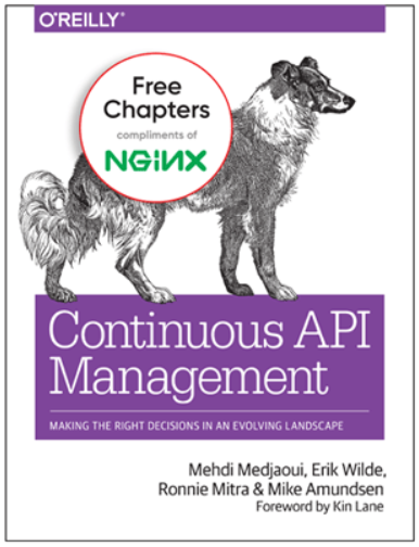 NGINX E-Book zum Thema "Kontinuierliche API-Verwaltung".