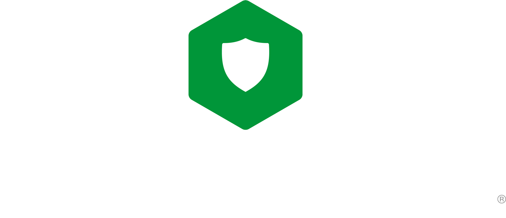 Das Bild zeigt das NGINX App Protect Logo als Teil des aktuellen NGINX Produktportfolios.