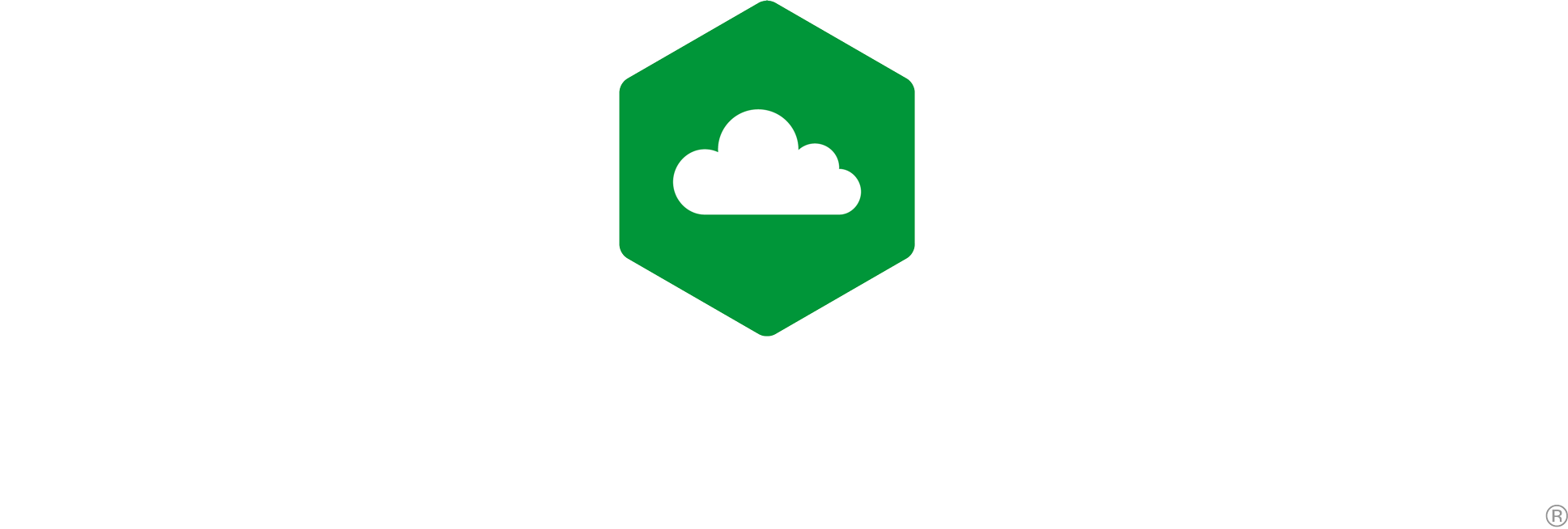 Logo des NGINX F5 DNS Cloud Services als Teil des NGINX Produktportfolios